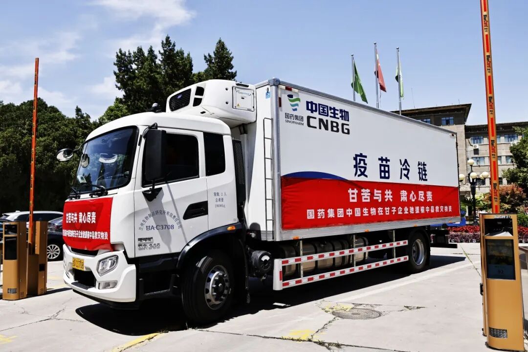 1767945319083018671.jpg 3.jpg