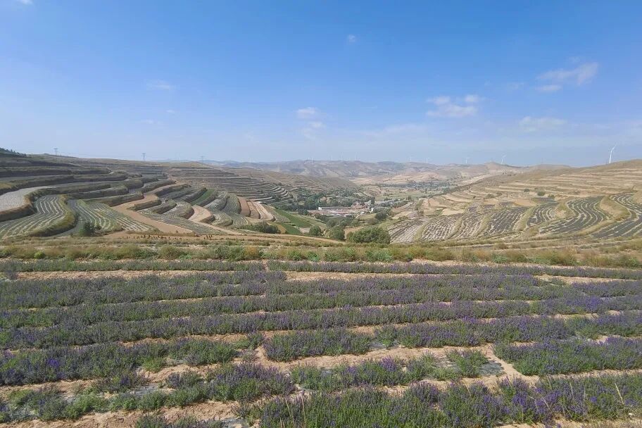 1777451186613098986.jpg 6.jpg