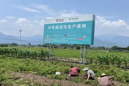 1777451213567058655.png 7.png