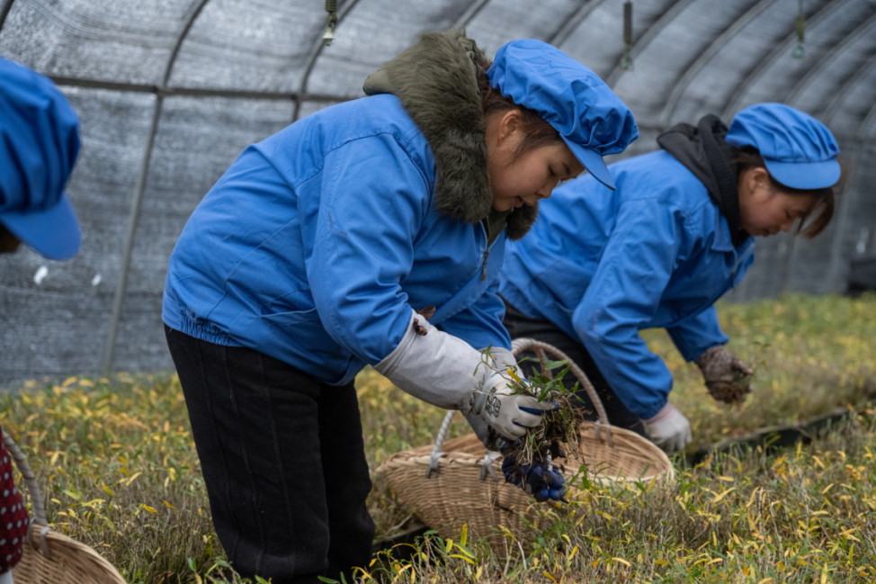 1777451231936078162.png 8.png