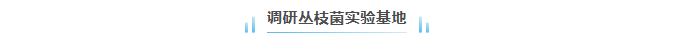 1788313169998083476.png ScreenShot_2026-09-02_093917_787.png